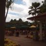 Hawaii 2010